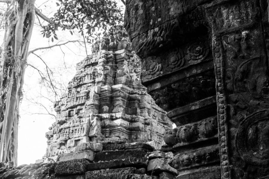 ta prohm-67.jpg